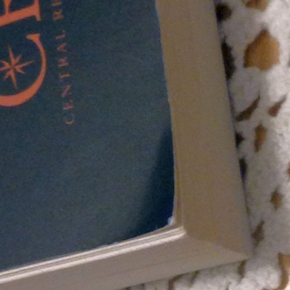 3 for $10 book sale! Addiction Recovery, Out of the Woods - Picture 7 of 10